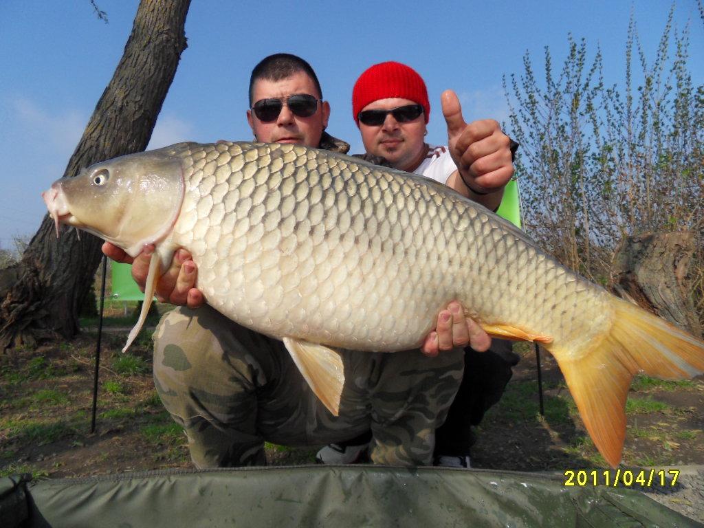 Nagykallo 2012 - rzv2012-136.JPG